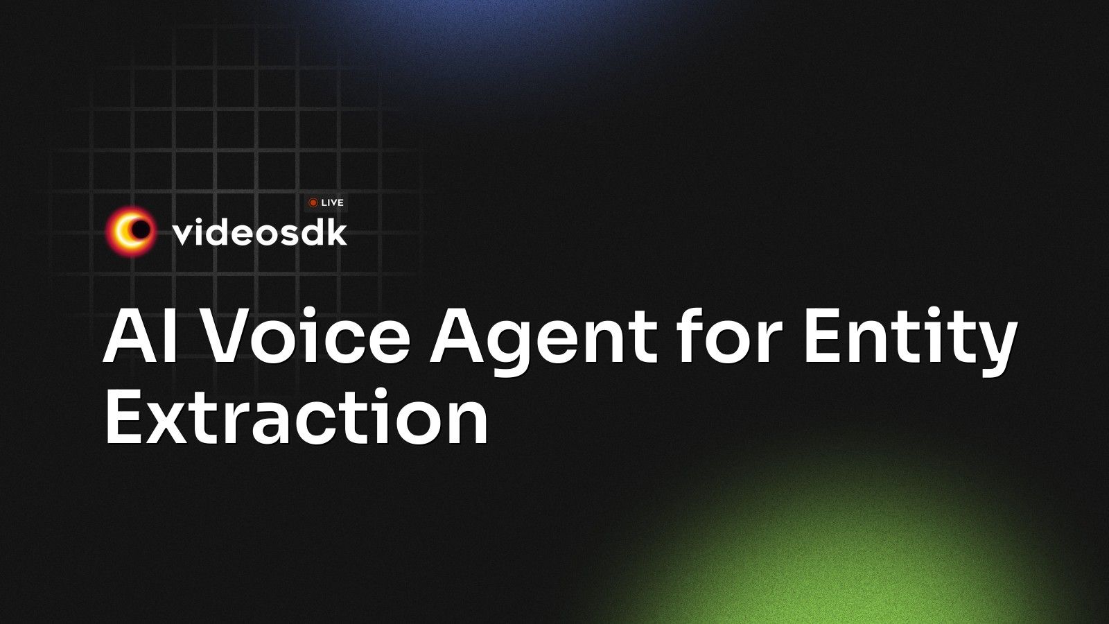 Entity Ai Program AI Voice Agent for Entity Extraction - VideoSDK